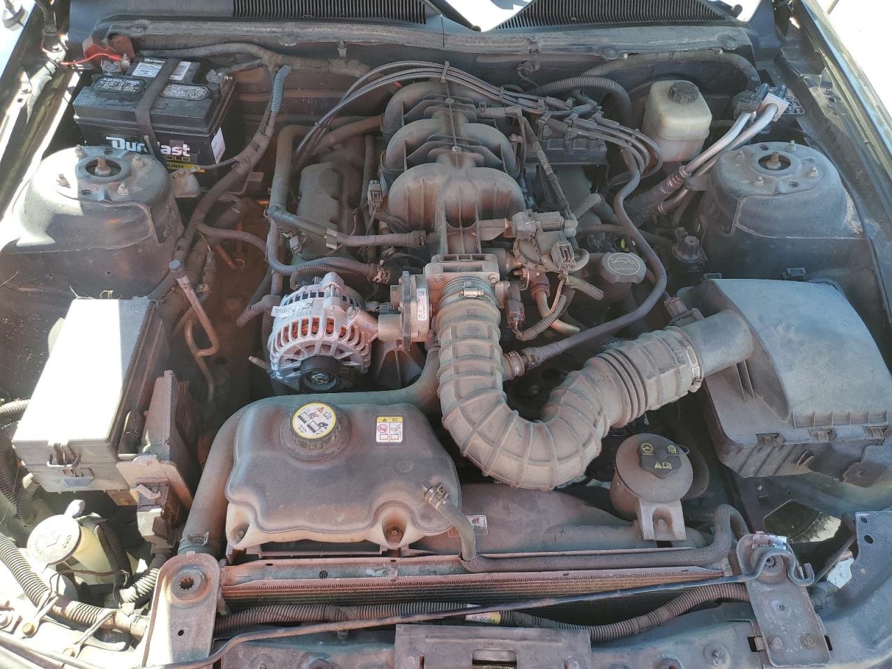 Ford Mustang Image 11