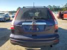 Honda Crv Exl Image 6