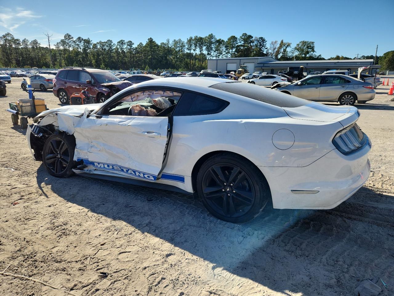 Ford Mustang Image 3