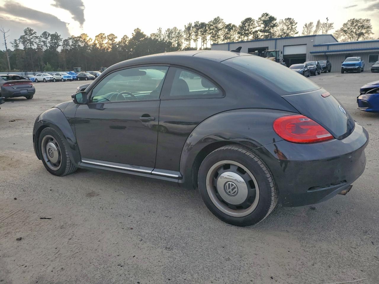 Volkswagen Beetle Image 12