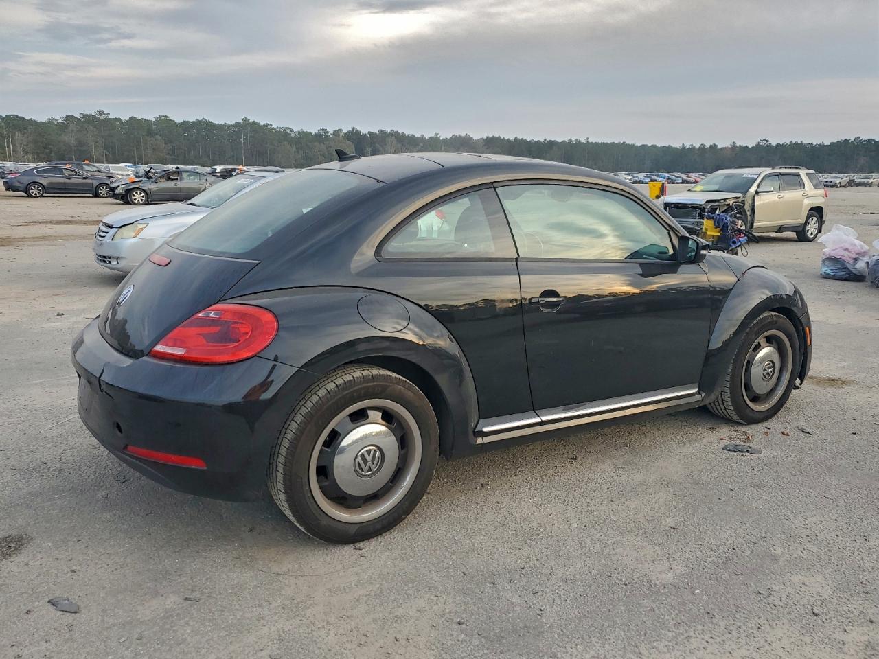 Volkswagen Beetle Image 5