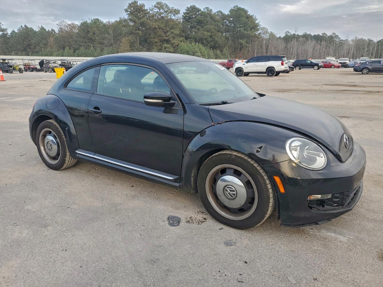 Volkswagen Beetle Image 6