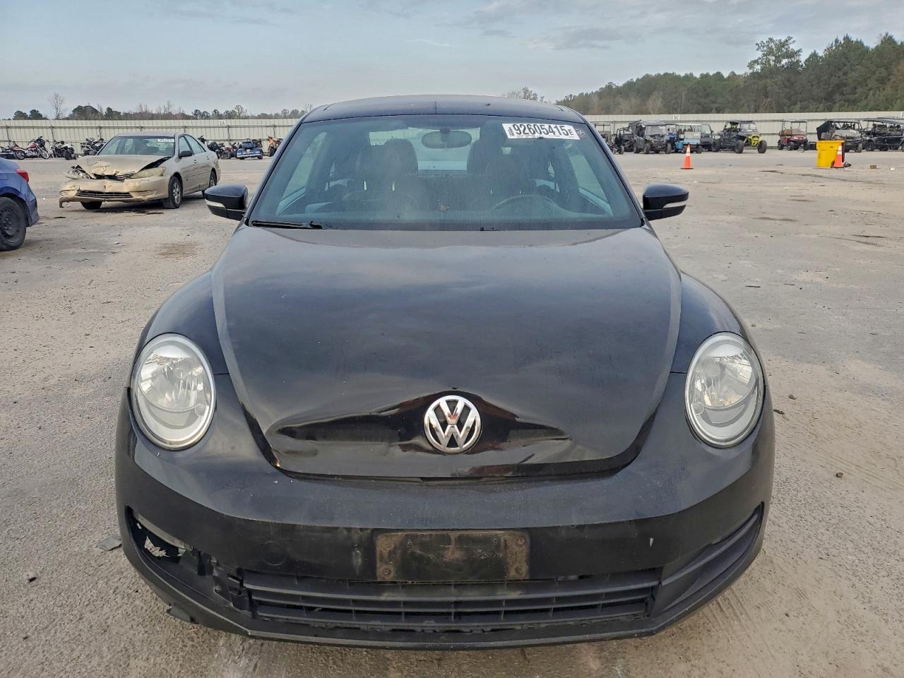 Volkswagen Beetle Image 2