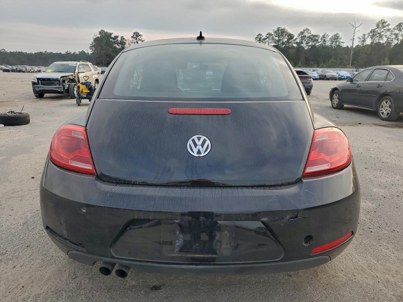 Volkswagen Beetle Image 4