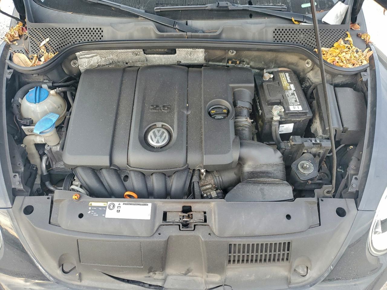 Volkswagen Beetle Image 11