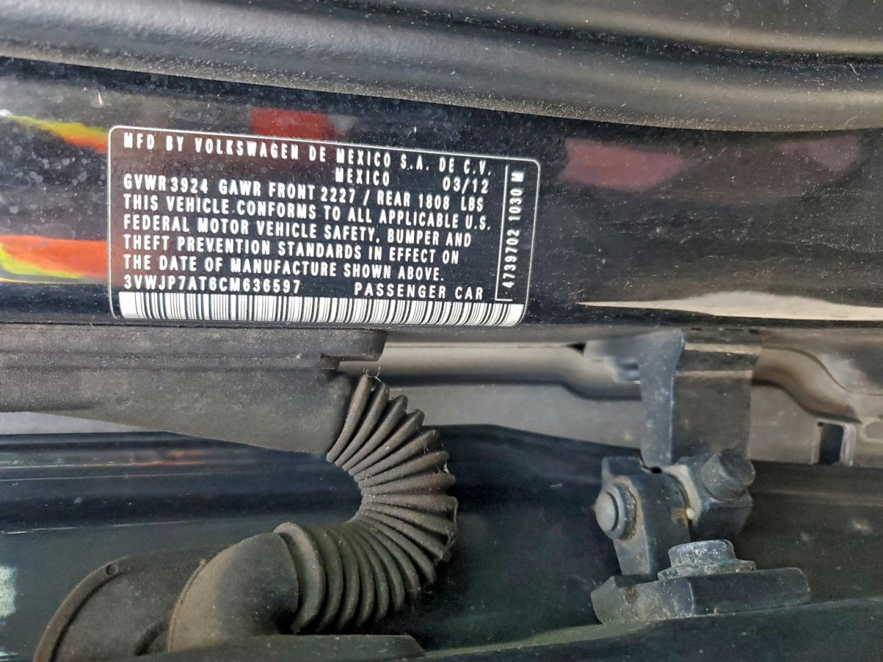 Volkswagen Beetle Image 9