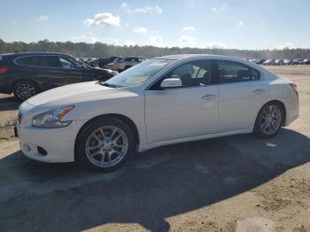  Salvage Nissan Maxima