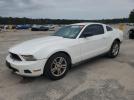 Ford Mustang Image 1