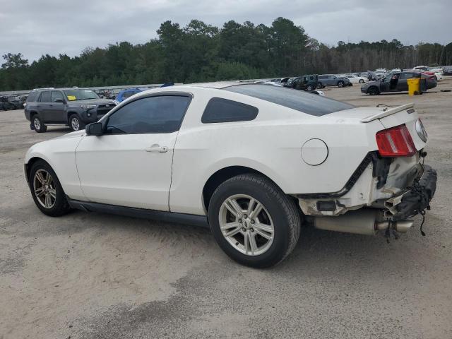 Ford Mustang Image 2