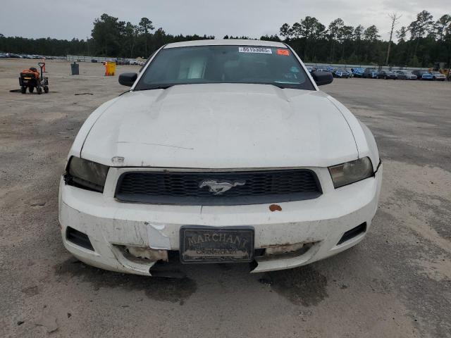 Ford Mustang Image 3