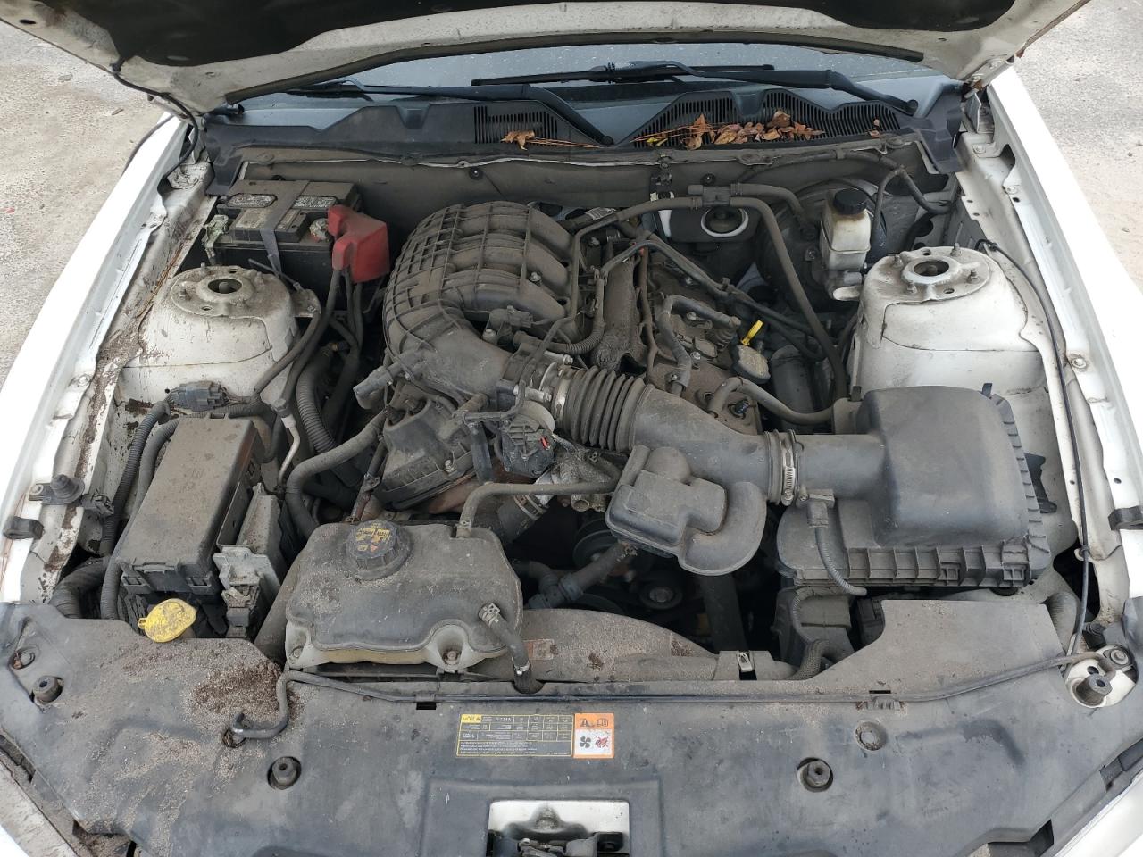 Ford Mustang Image 9