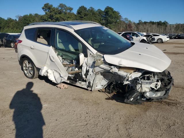 Ford Escape Titanium Image 6