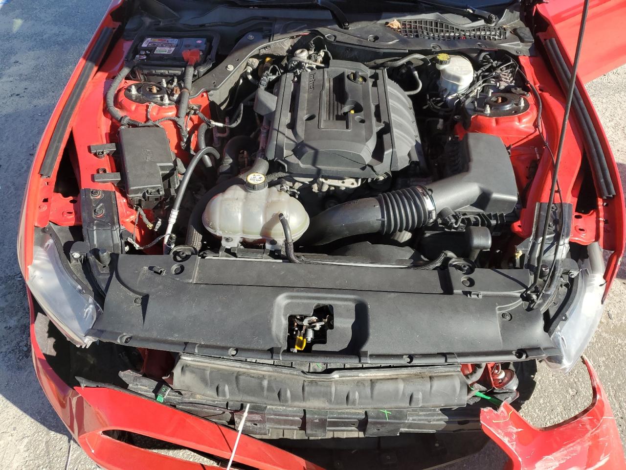 Ford Mustang Image 2