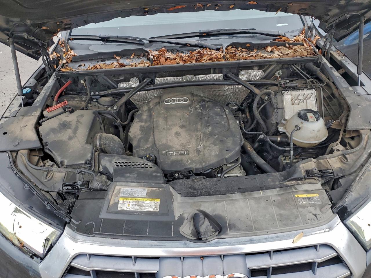 Audi Q5 Premium Plus Image 13