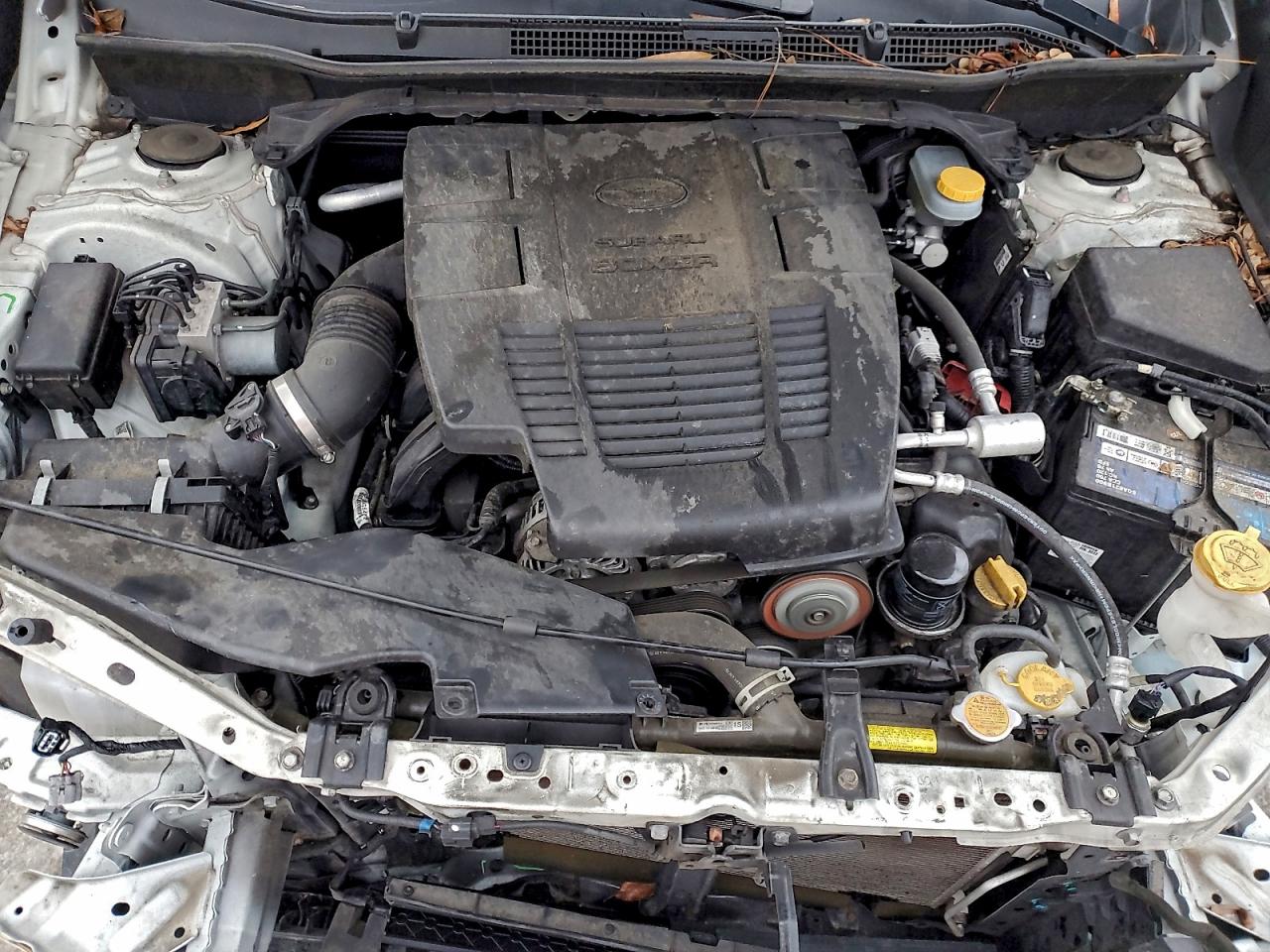 Subaru Forester Limited Image 8