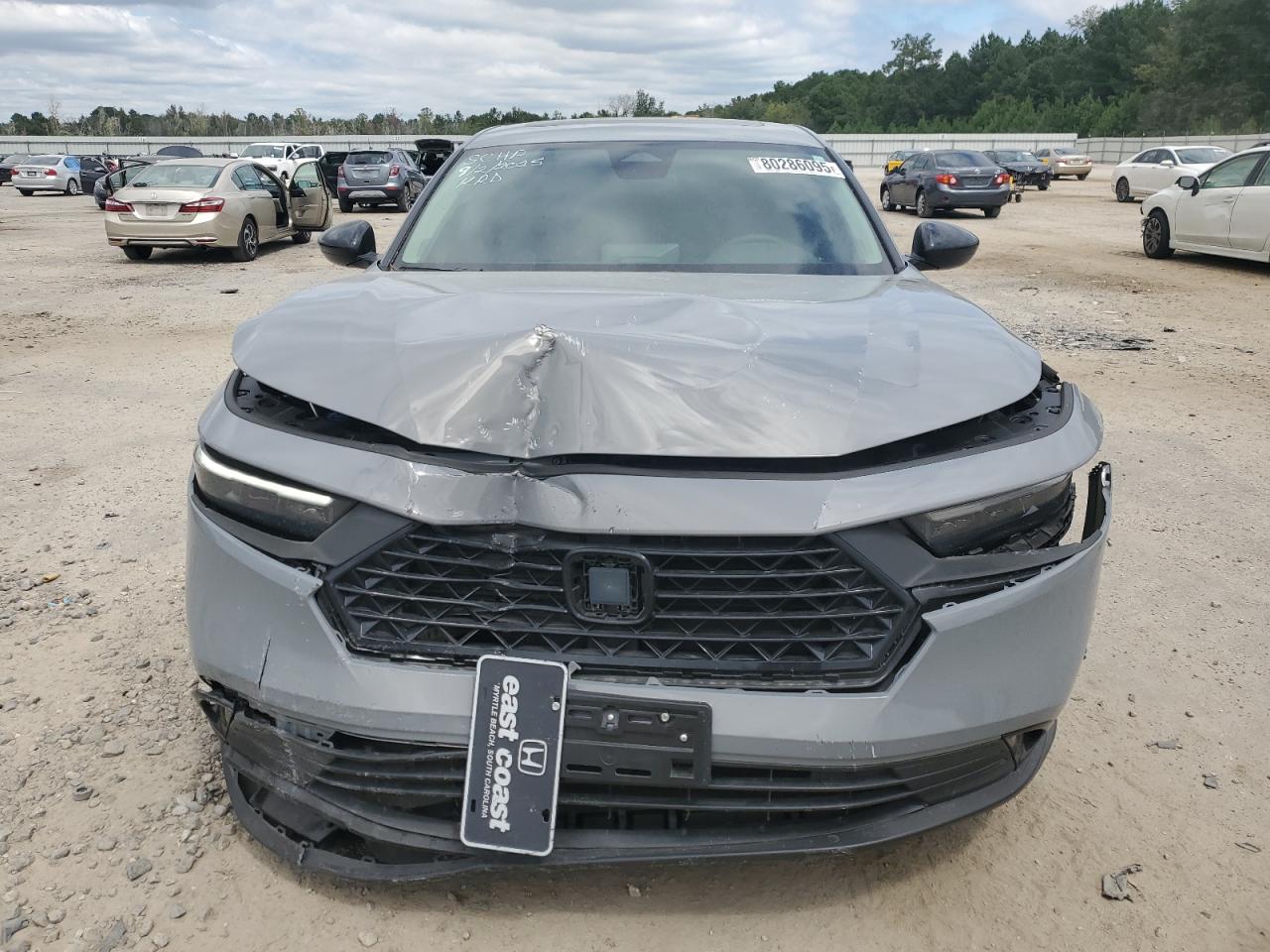 Honda Accord Se Image 11