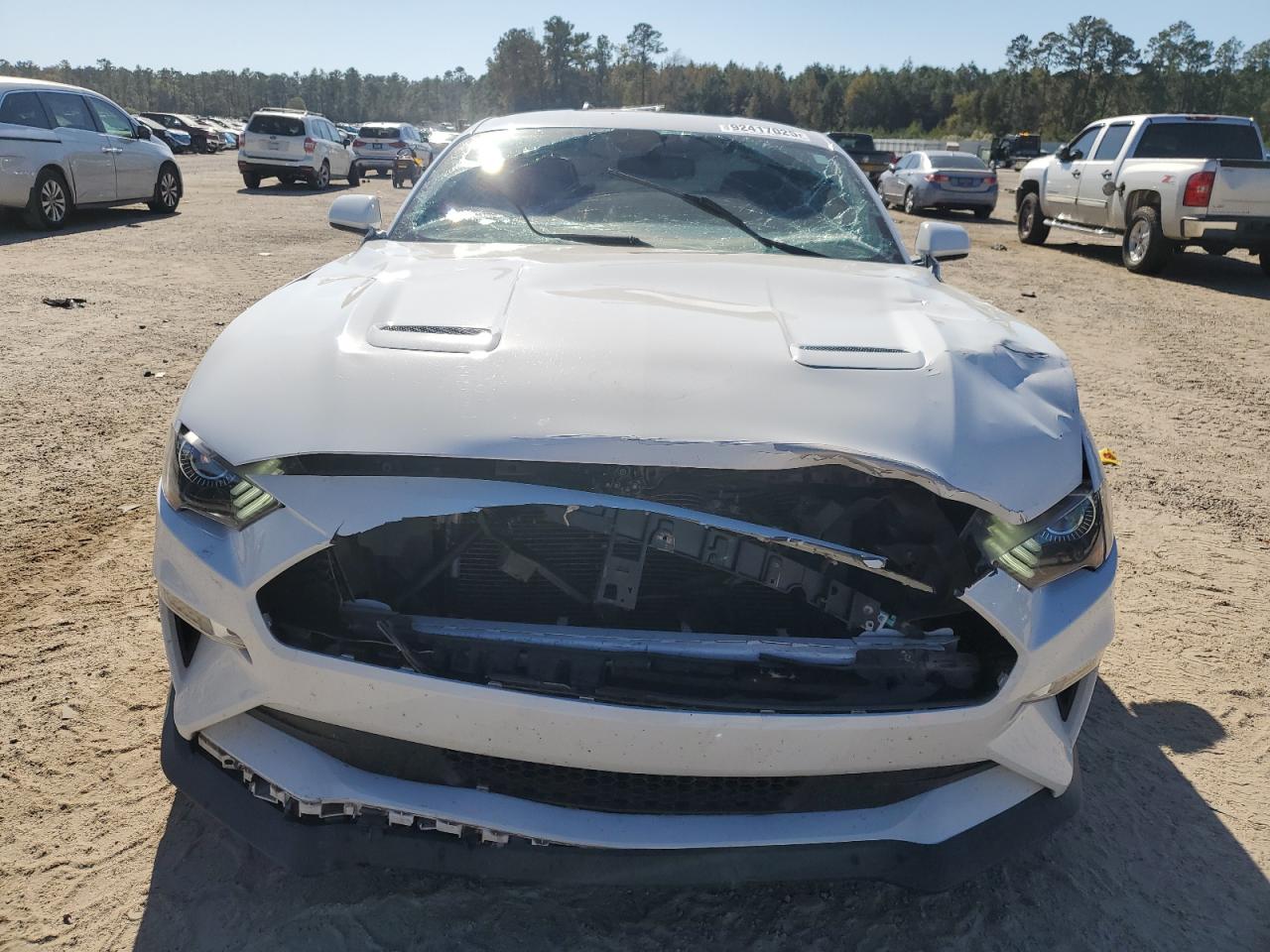 Ford Mustang Gt Image 12