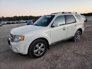  Salvage Ford Escape