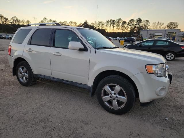 Ford Escape Limited Image 3