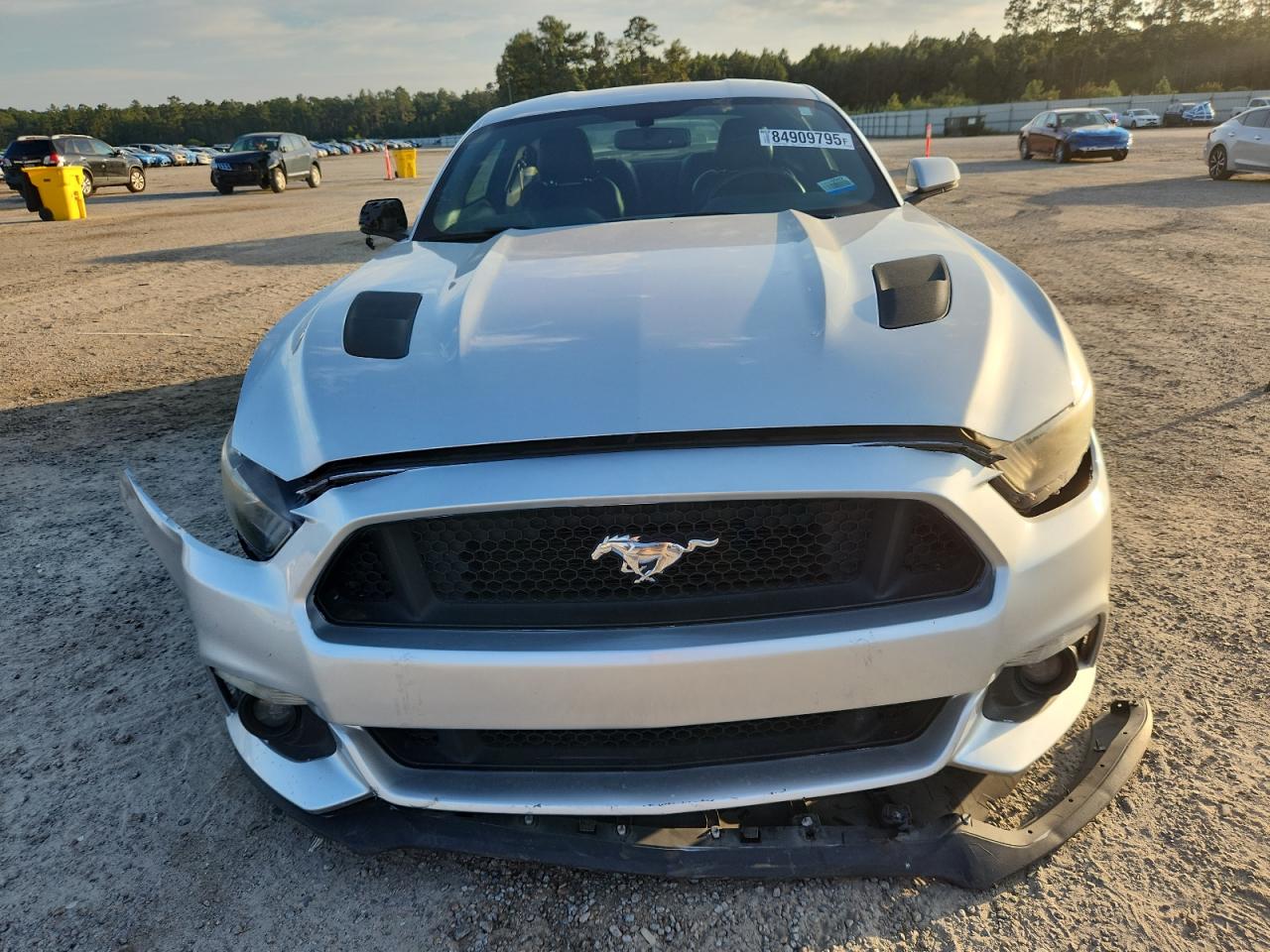 Ford Mustang Gt Image 12