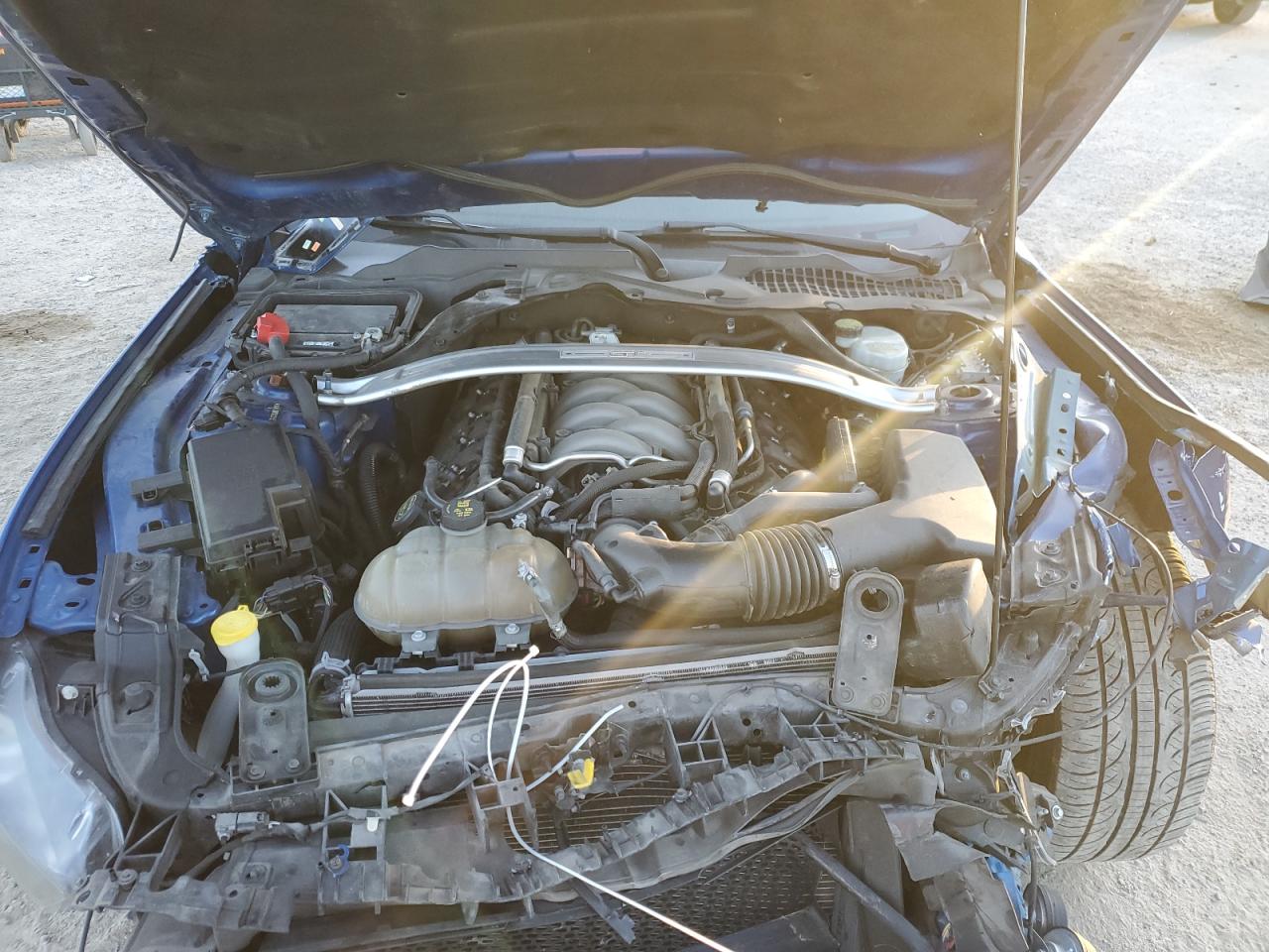 Ford Mustang Gt Image 12