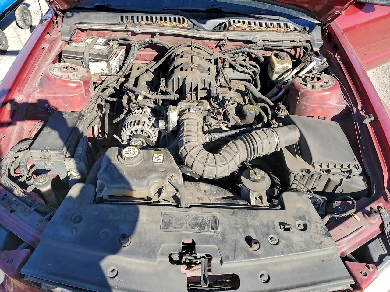 Ford Mustang Image 6