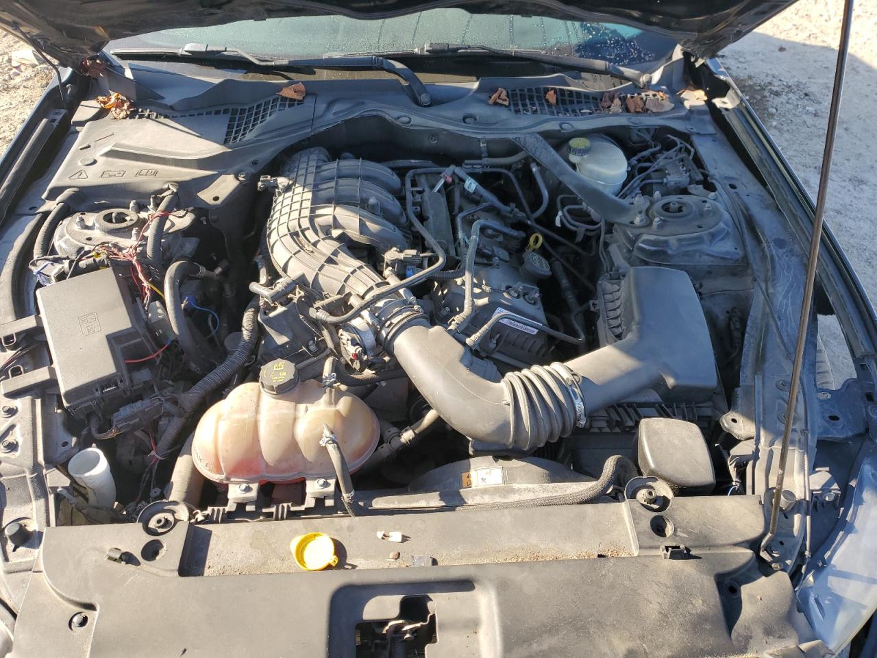 Ford Mustang Image 4