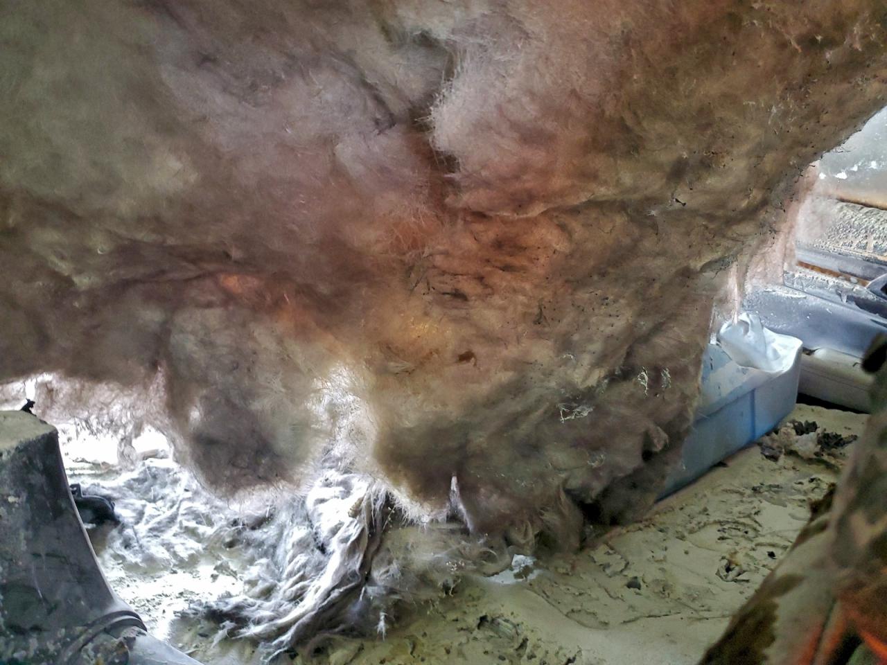 Mazda Cx Grand Touring Reserve Image 5