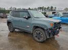 Jeep Renegade Trailhawk Image 6