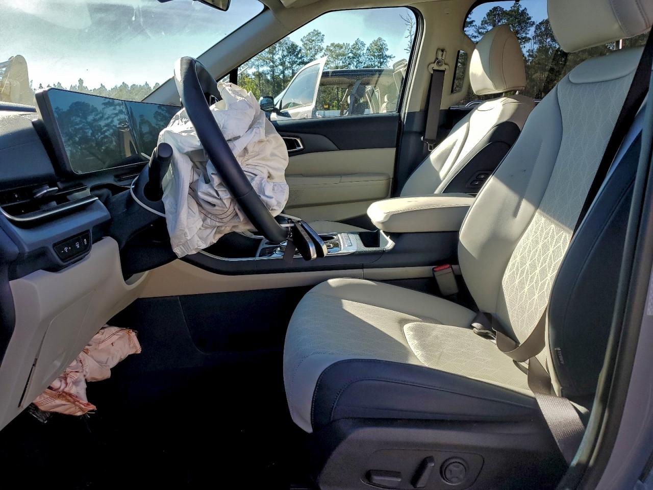 Kia Carnival Ex Image 3