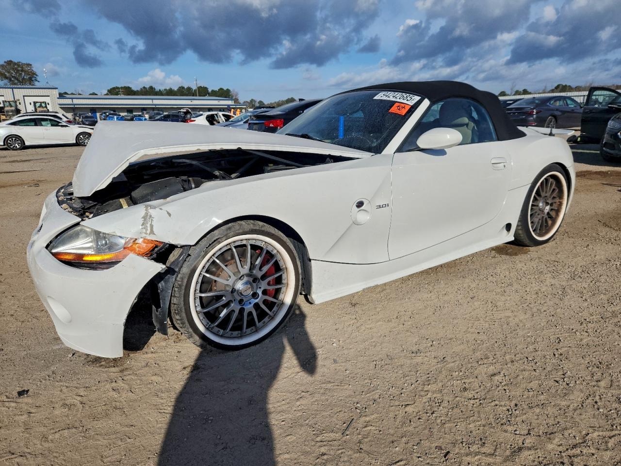 BMW Z Series 3.0 Image 1