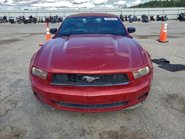 Ford Mustang Image 9
