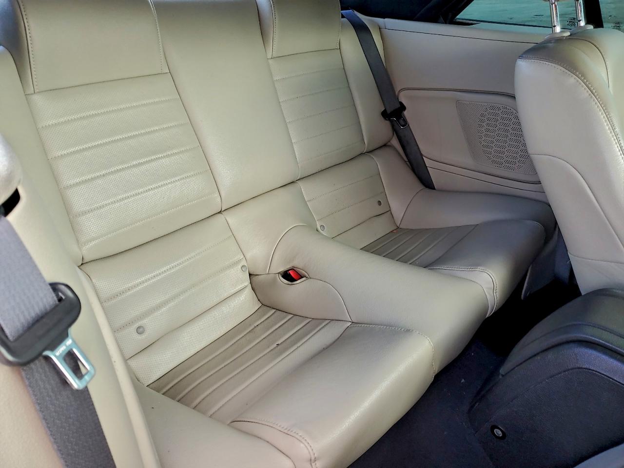 Ford Mustang Image 6