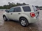 Ford Escape Xlt Image 4