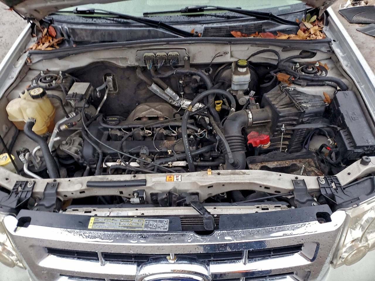 Ford Escape Xlt Image 10