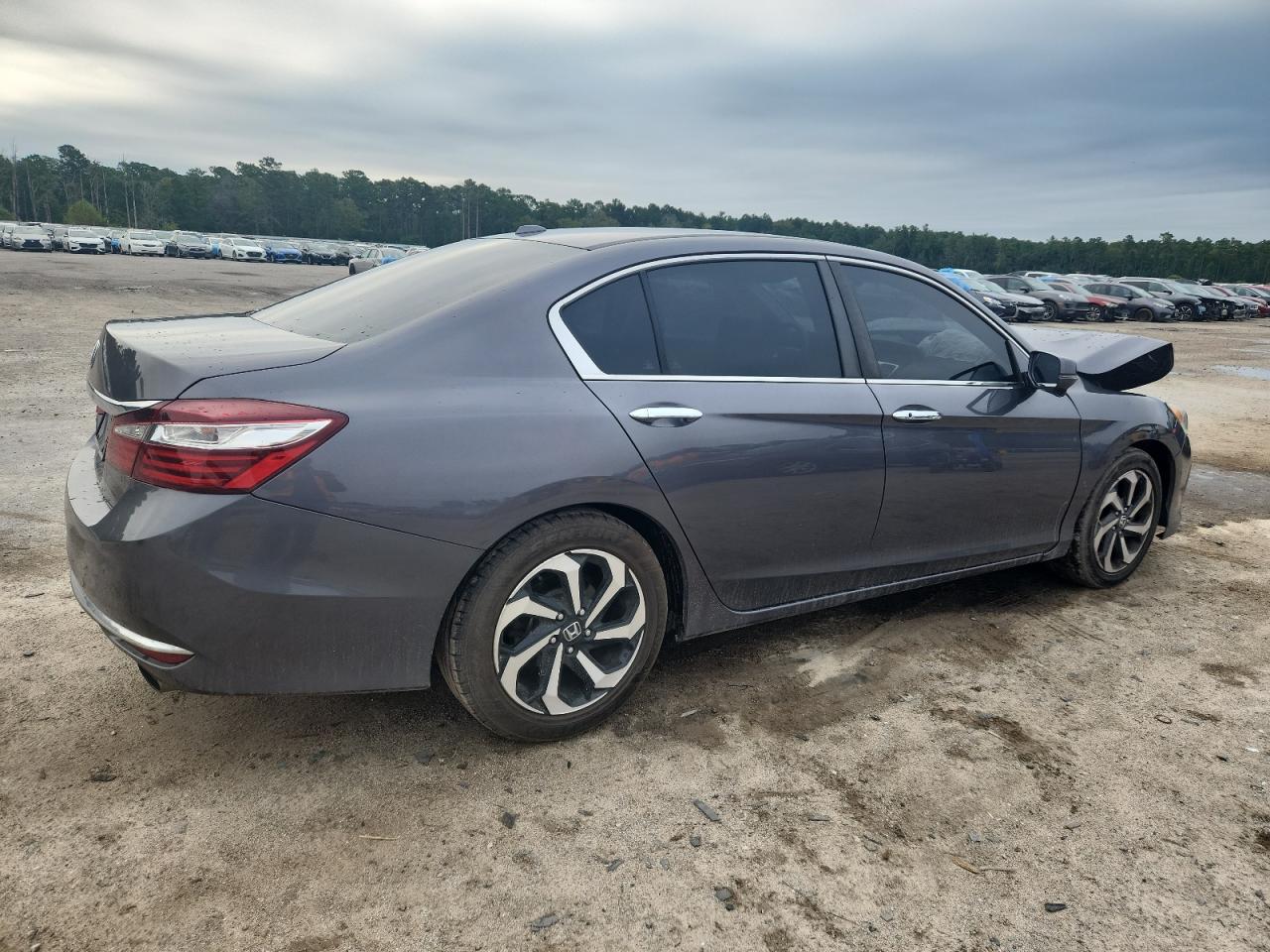 Honda Accord Exl Image 2