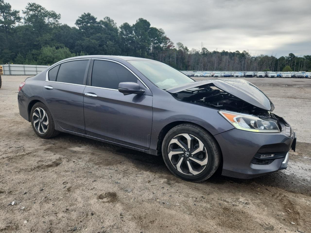 Honda Accord Exl Image 12