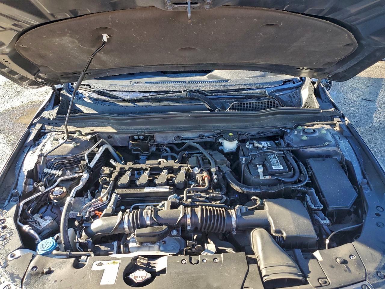 Honda Accord Exl Image 5