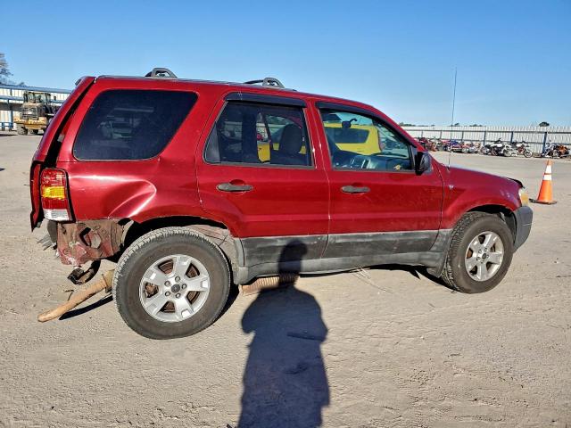 Ford Escape Xlt Image 6