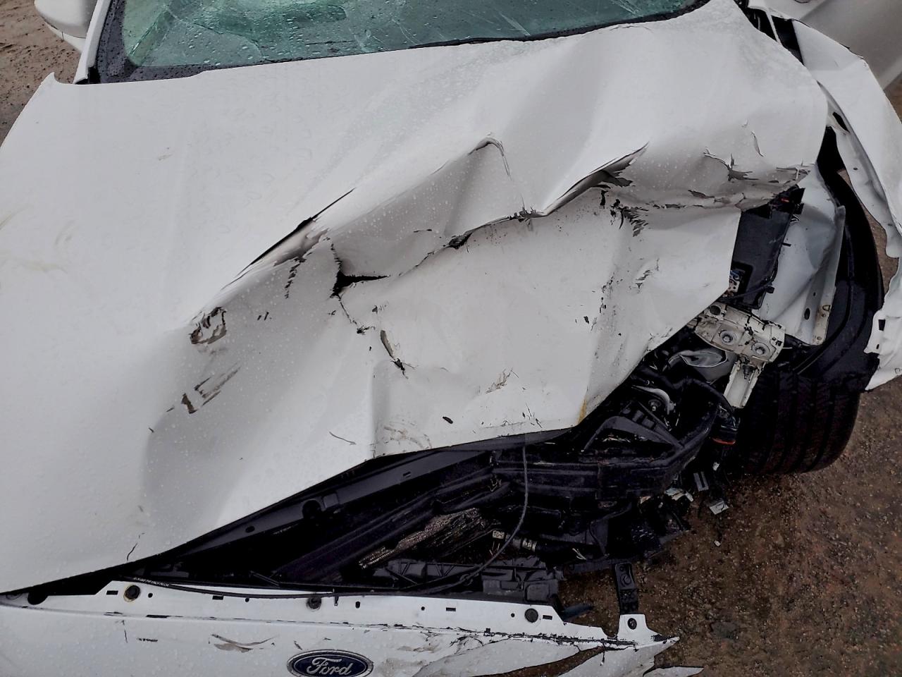 Ford Fusion Sel Image 6