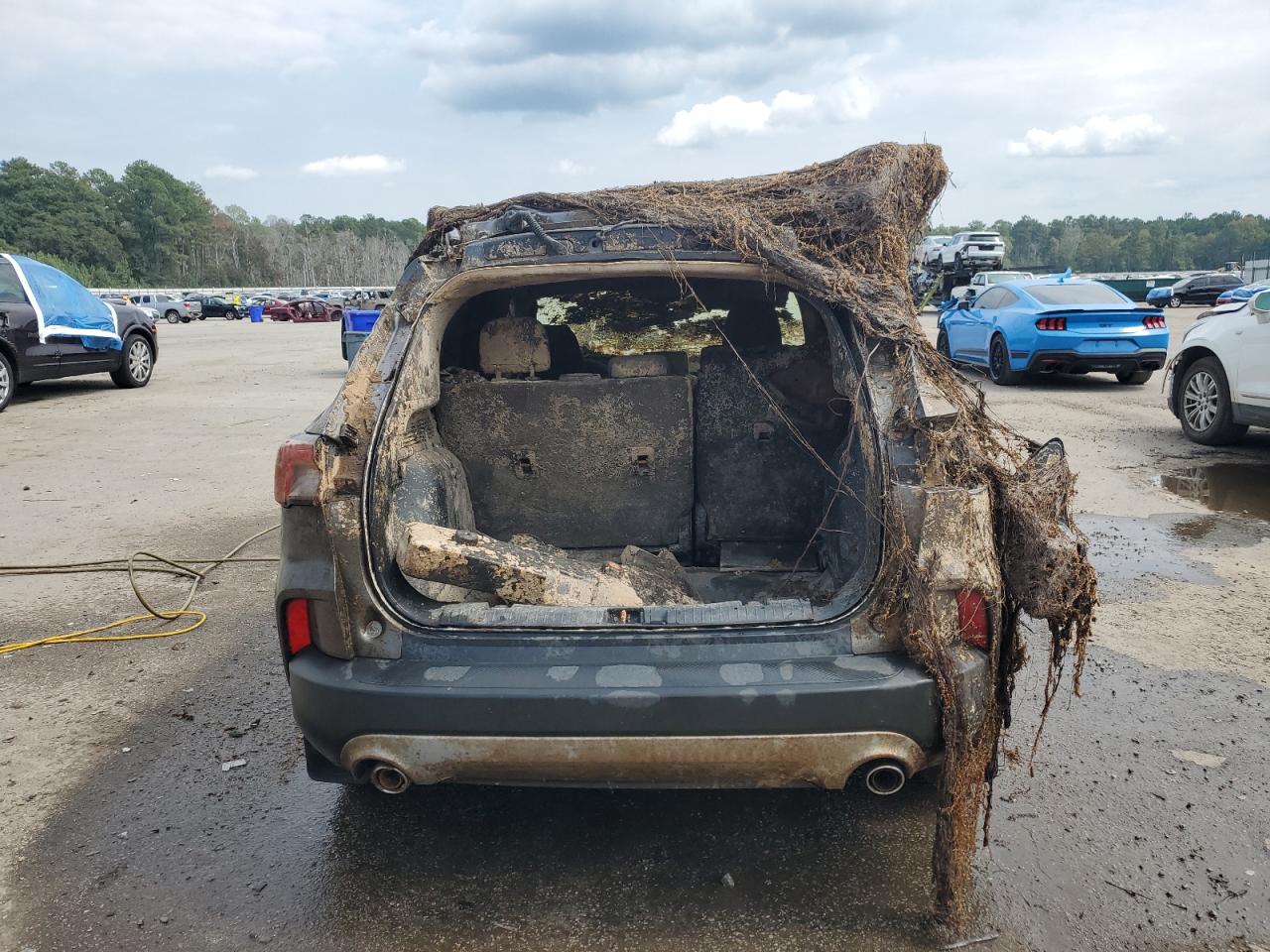 Ford Escape Se Image 8