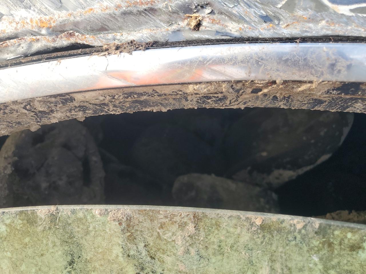 Ford Escape Se Image 7