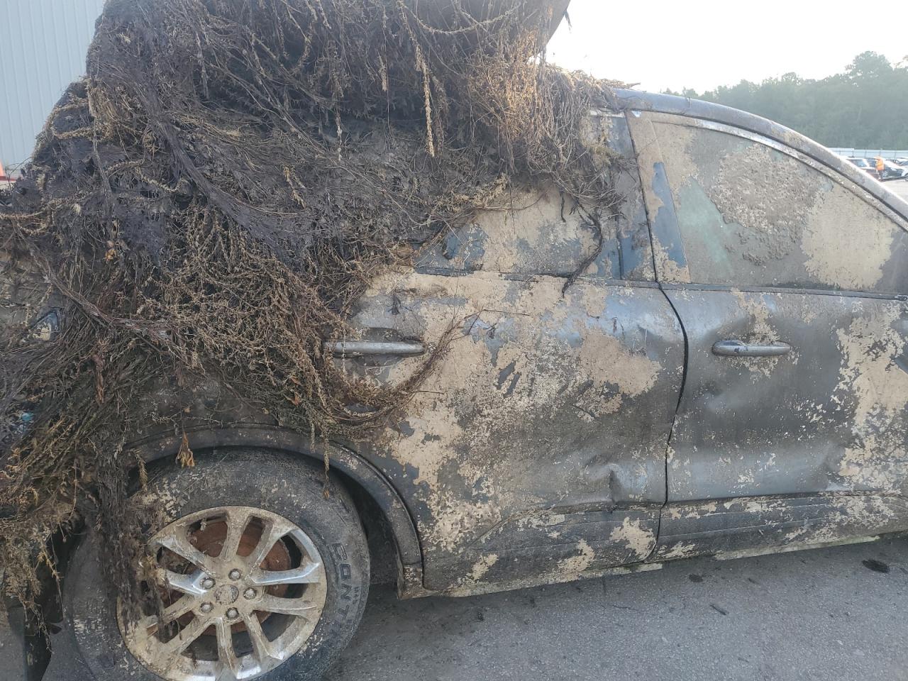 Ford Escape Se Image 9