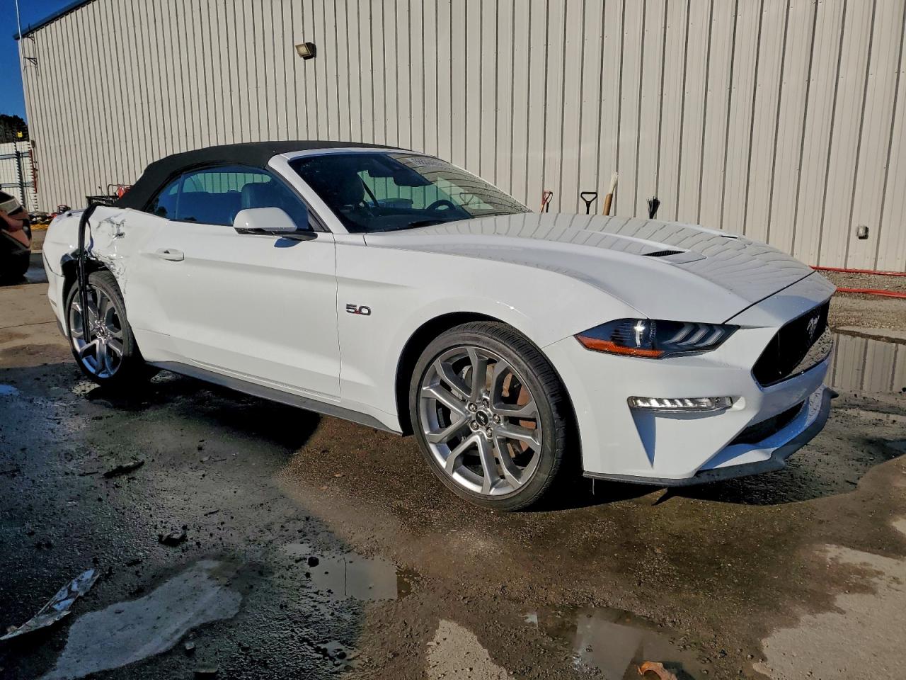 Ford Mustang Gt Image 3