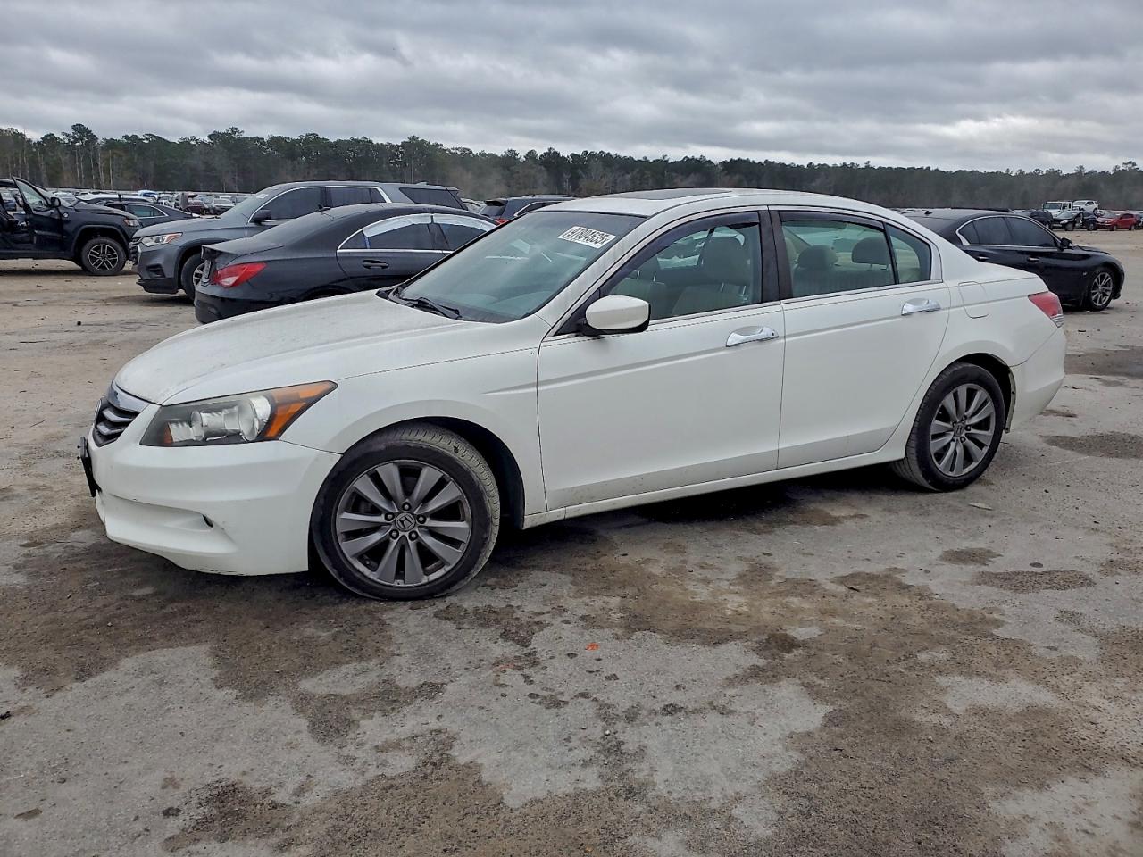 Honda Accord Exl Image 1