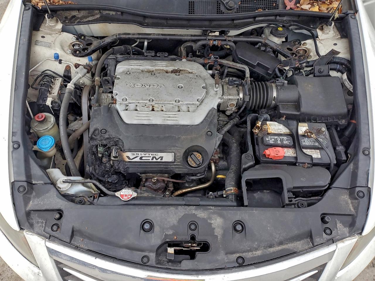 Honda Accord Exl Image 6