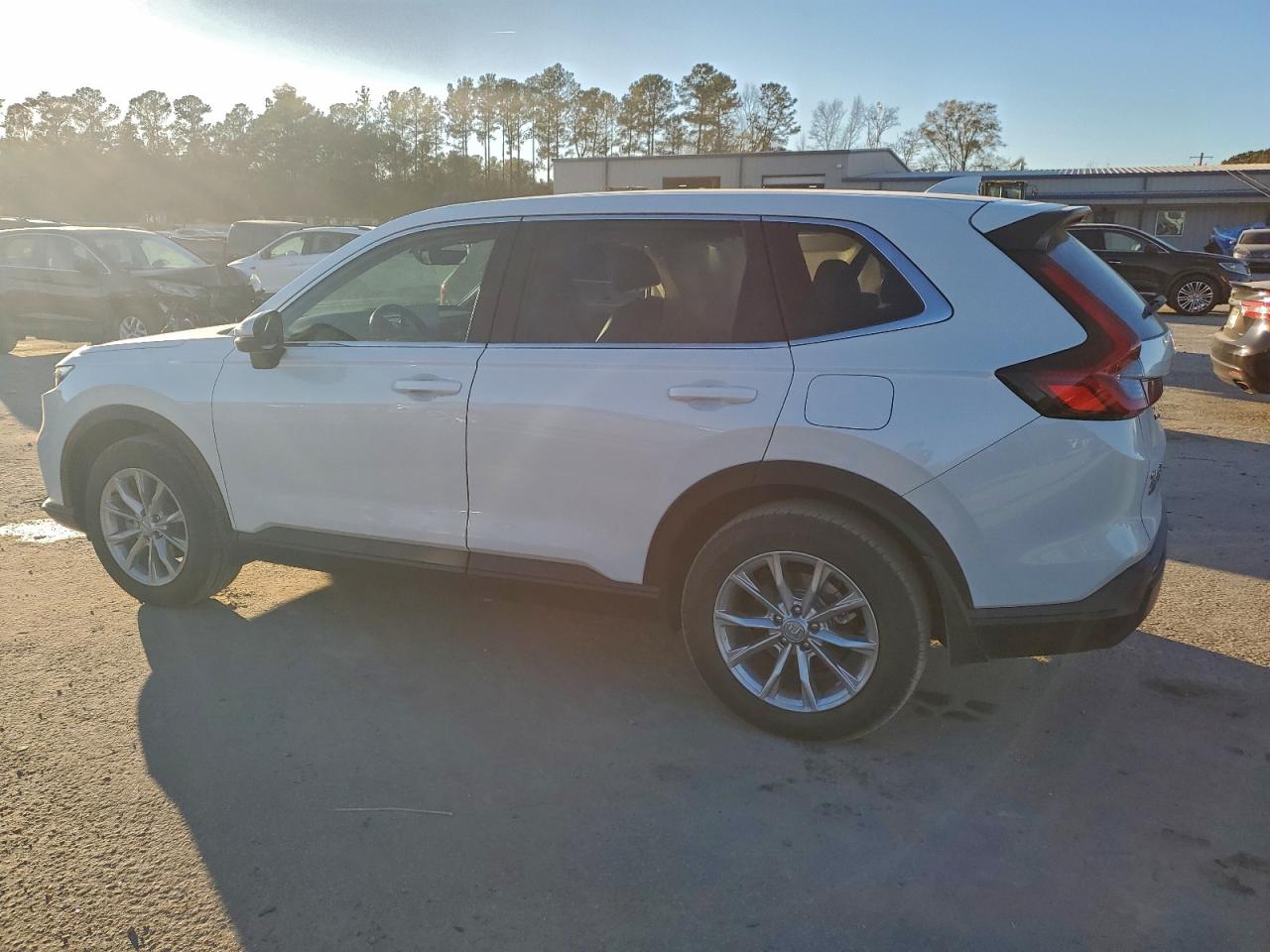 Honda Crv Exl Image 4