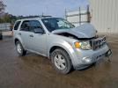 Ford Escape Xlt Image 5