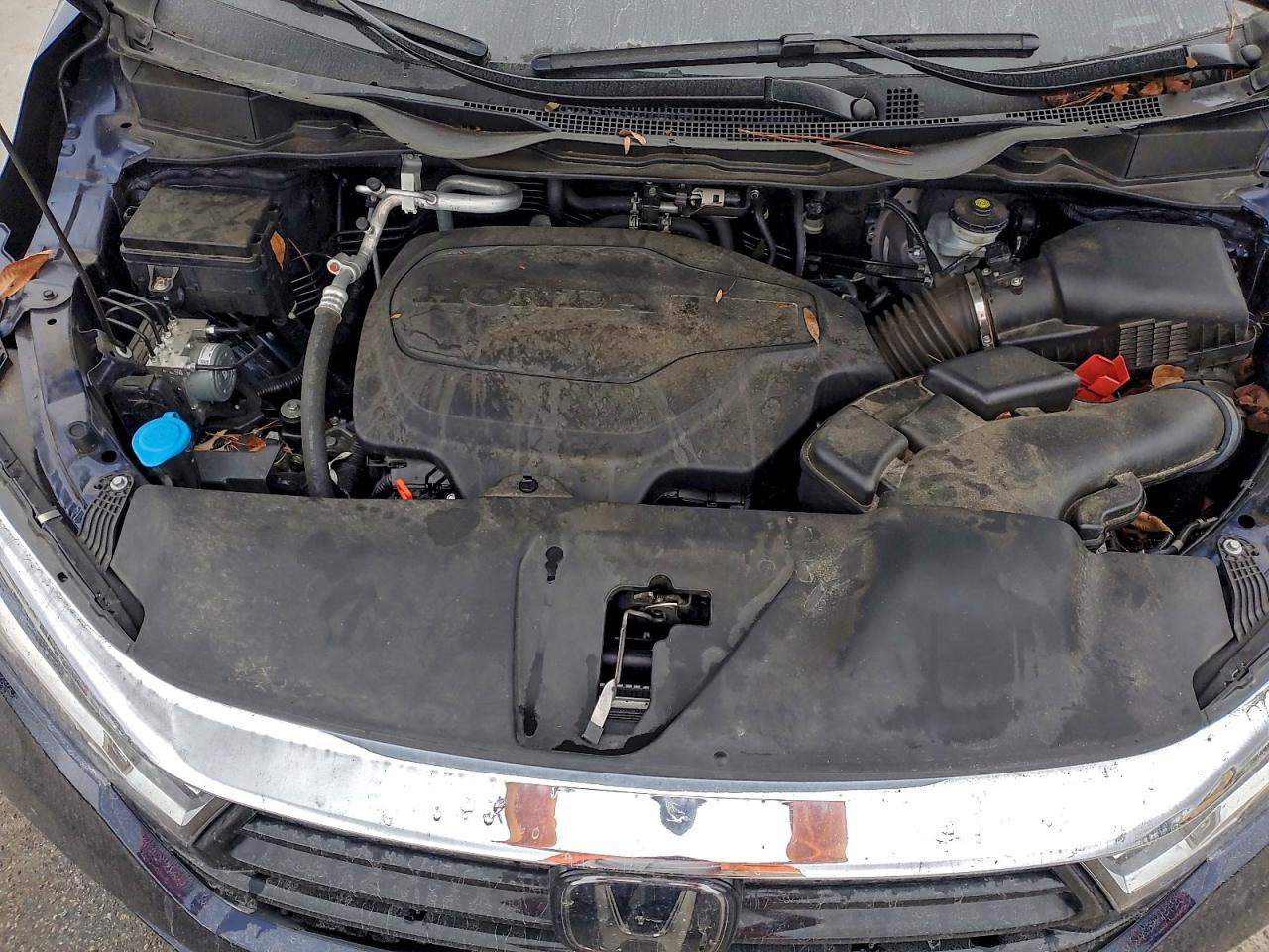 Honda Odyssey Exl Image 4