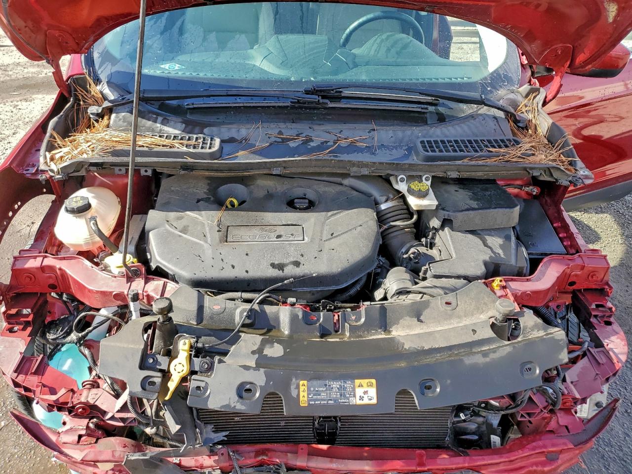 Ford Escape Se Image 9